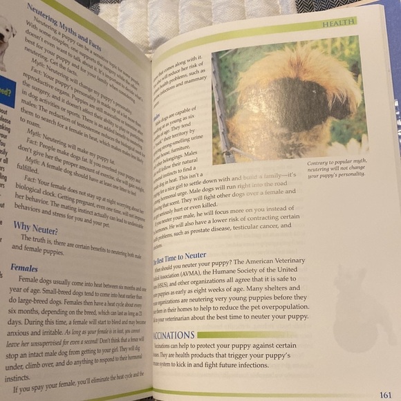 PUPPY Care & Training by Teoti Anderson hardcover reading book with CD - Picture 7 of 9